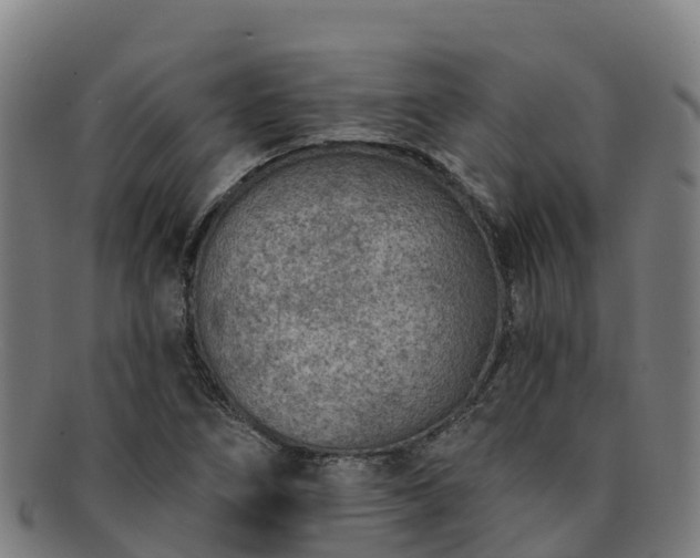 X0000091731266200708311153
