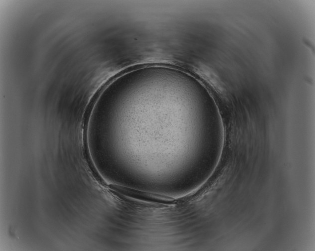 X0000091731268200708311153