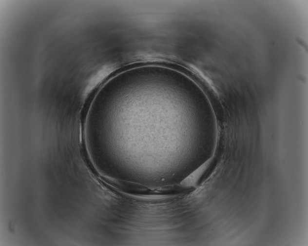 X0000091731269200708311153