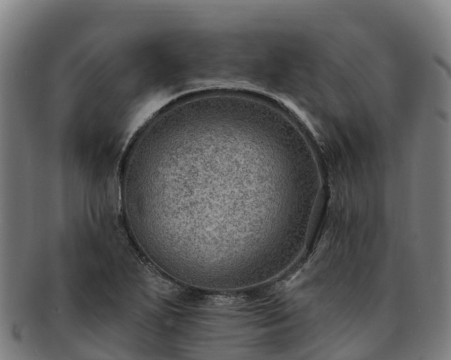 X0000091731271200708311153
