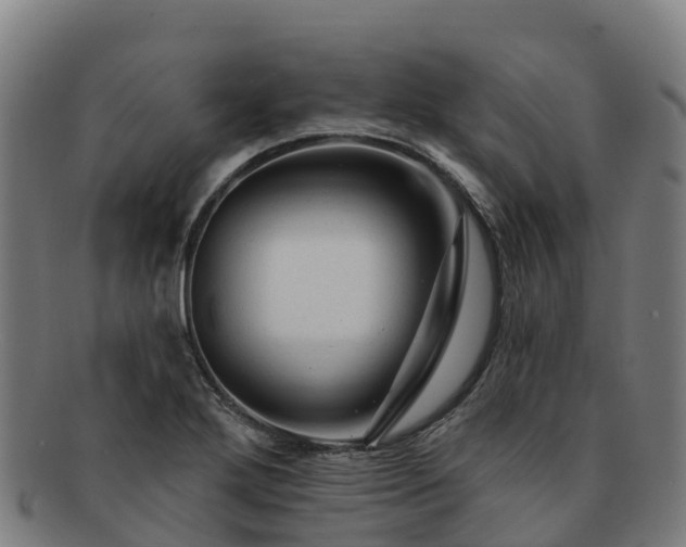 X0000091731272200708311153