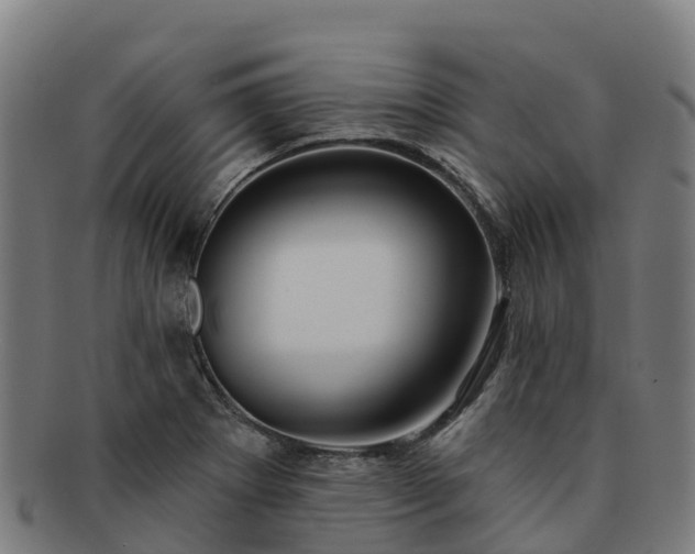 X0000091731273200708311153