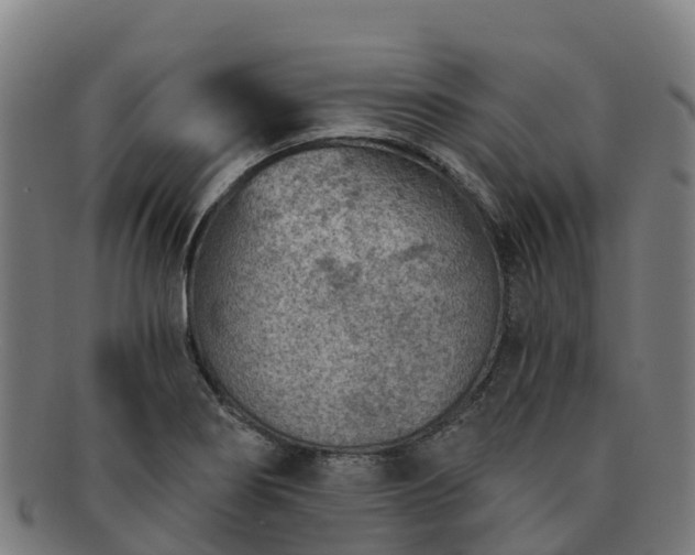 X0000091731274200708311153