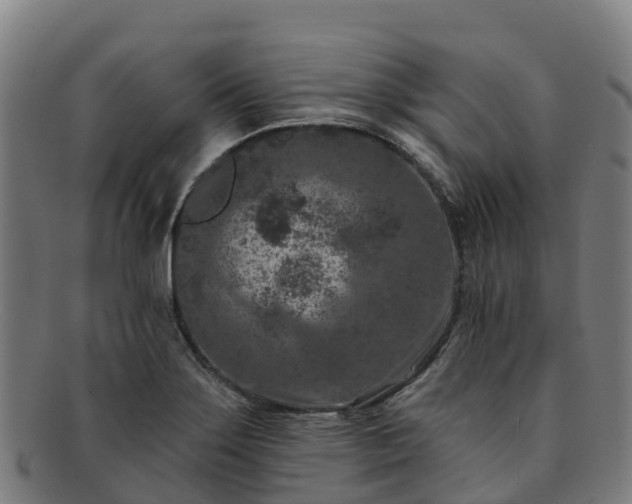 X0000091731275200708311153