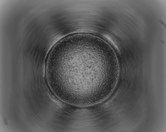 X0000091731276200708311153