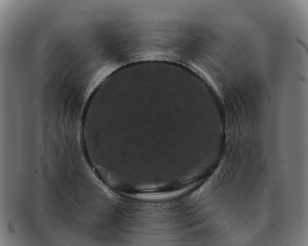 X0000091731277200708311153