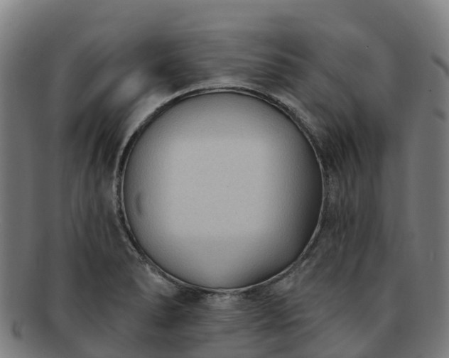 X0000091731278200708311153