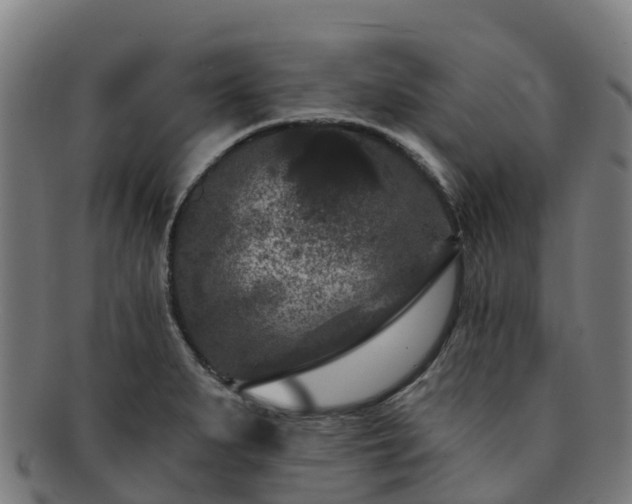 X0000091731279200708311153