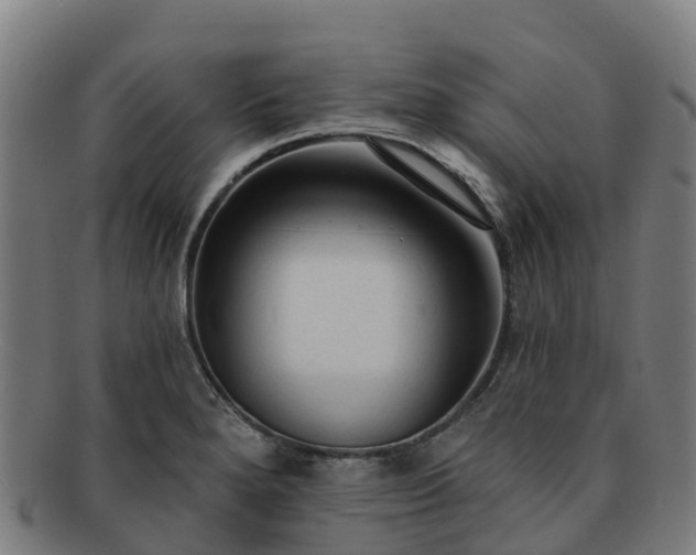 X0000091731280200708311153