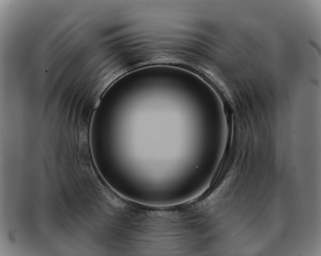 X0000091731281200708311153