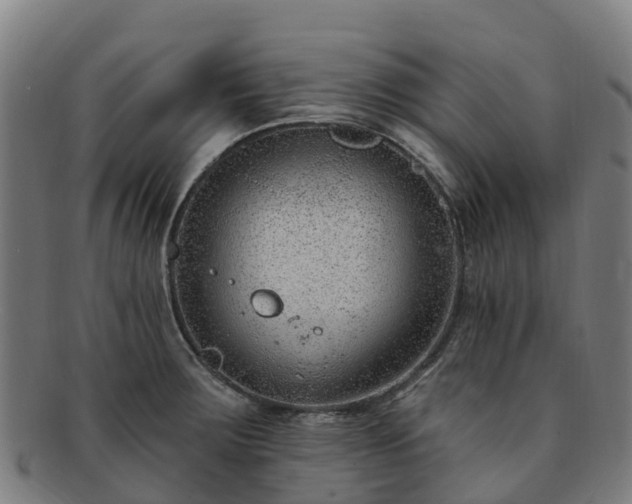 X0000091731283200708311153