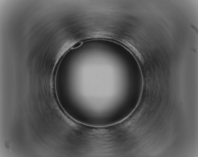 X0000091731285200708311153