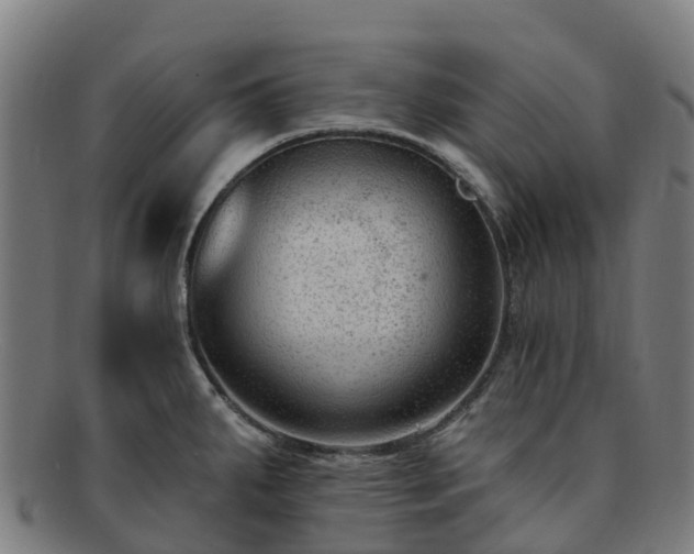 X0000091731287200708311153
