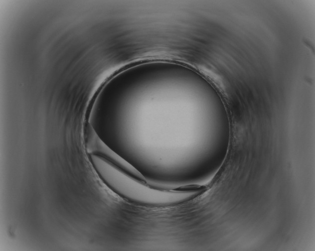 X0000091731288200708311153