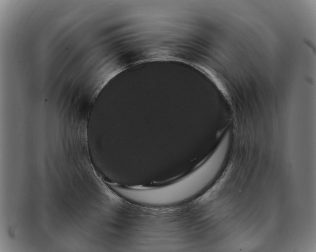 X0000091731289200708311153