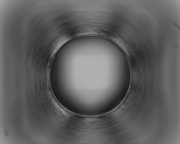 X0000091731290200708311153