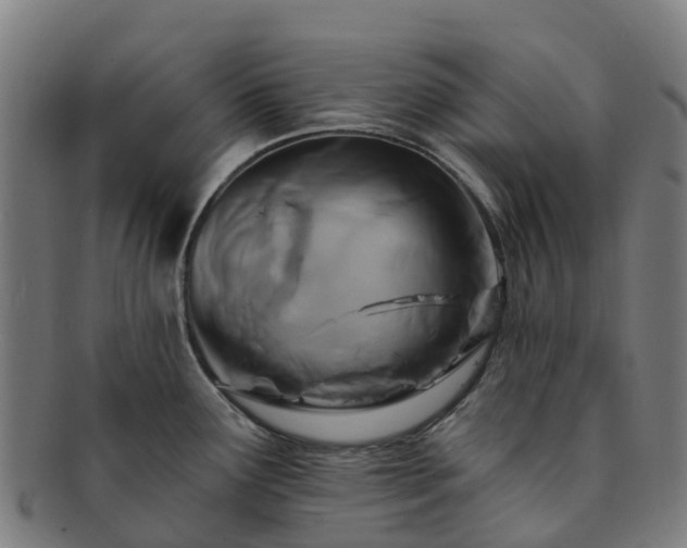X0000091731291200708311153