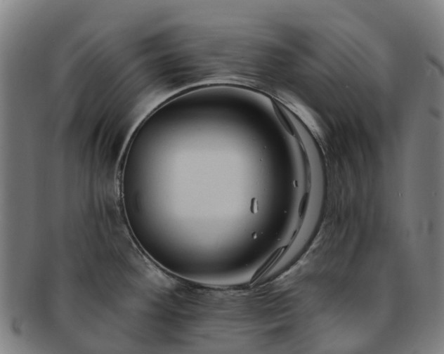 X0000091731292200708311153