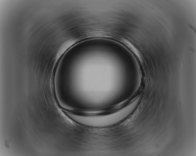 X0000091731293200708311153