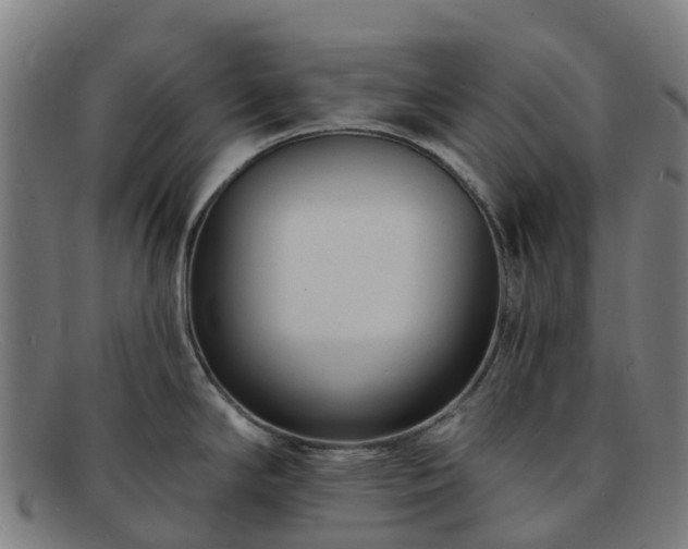 X0000091731294200708311153