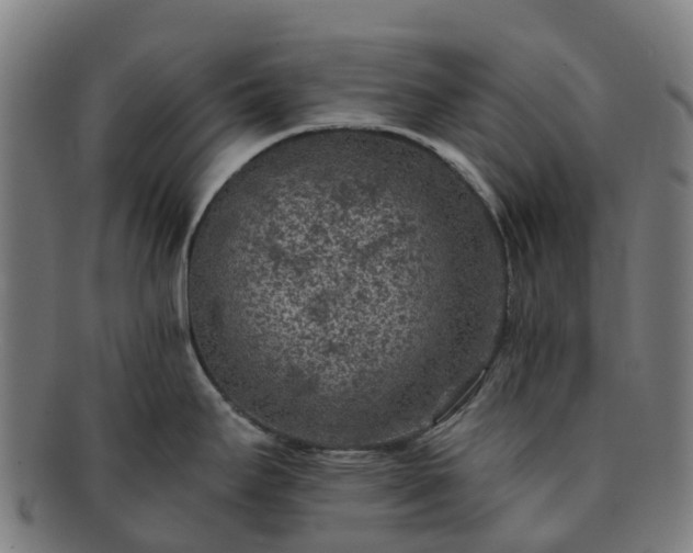 X0000091731295200708311153