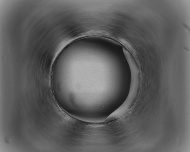 X0000091731296200708311152