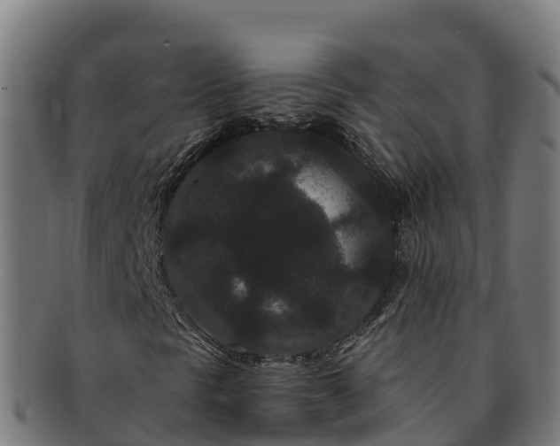 X0000091731297200708311152