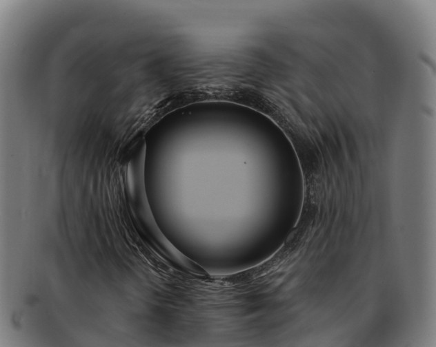 X0000091731298200708311152