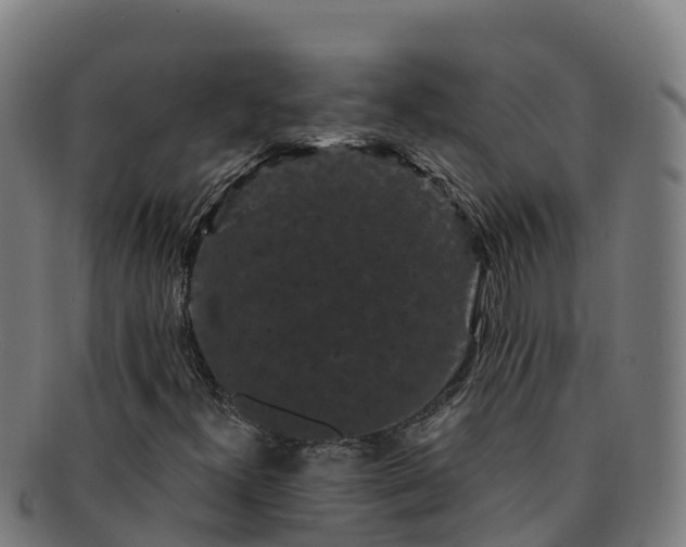 X0000091731300200708311152
