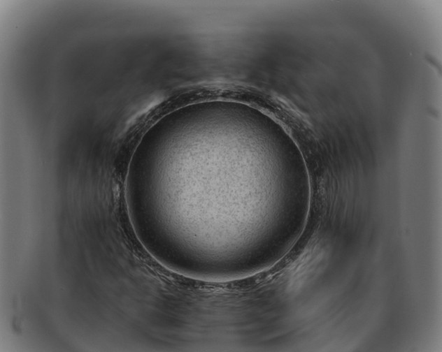 X0000091731302200708311152