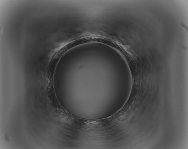 X0000091731303200708311152