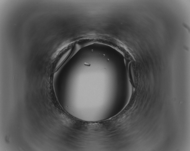 X0000091731304200708311152