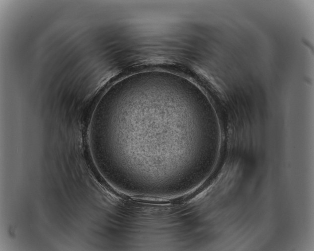 X0000091731305200708311152