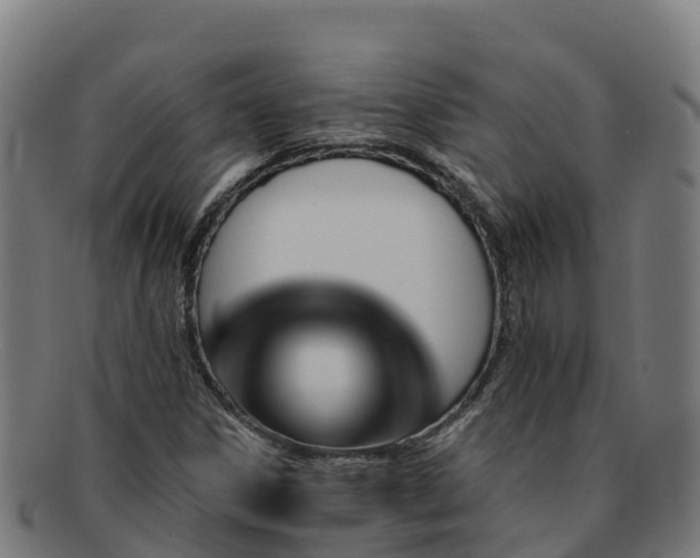 X0000091731306200708311152