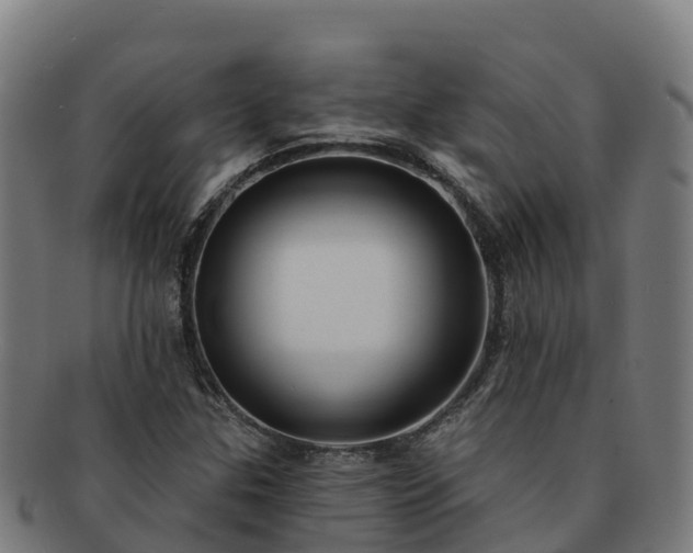 X0000091731307200708311152
