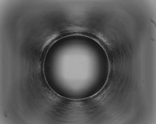 X0000091731309200708311152