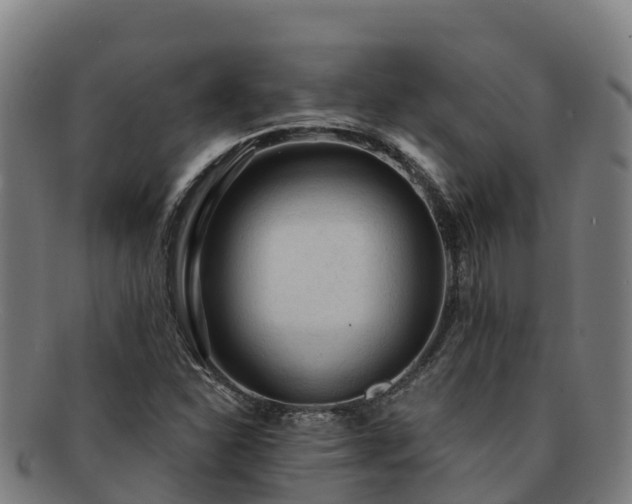 X0000091731310200708311152