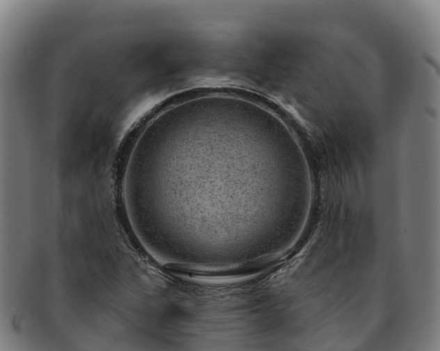 X0000091731311200708311152
