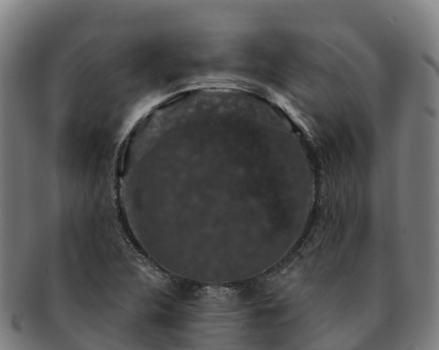 X0000091731312200708311152