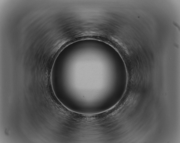 X0000091731313200708311152