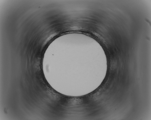 X0000091731314200708311152