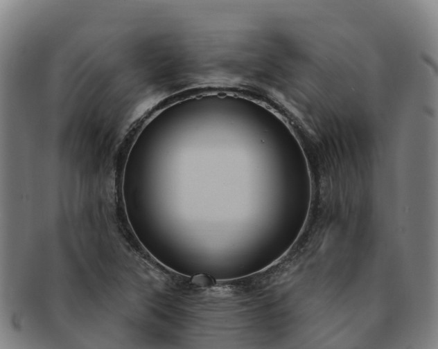 X0000091731315200708311152