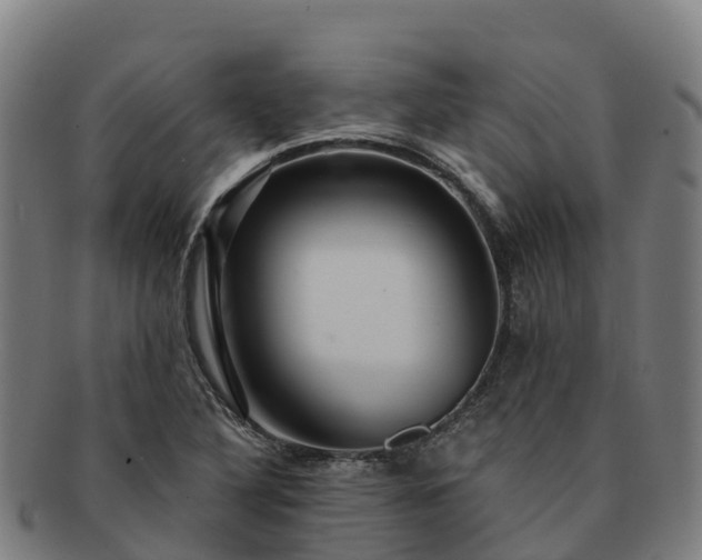 X0000091731316200708311152