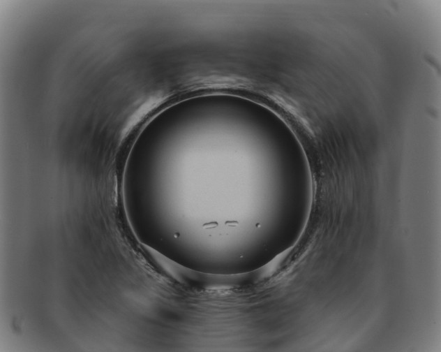 X0000091731317200708311152