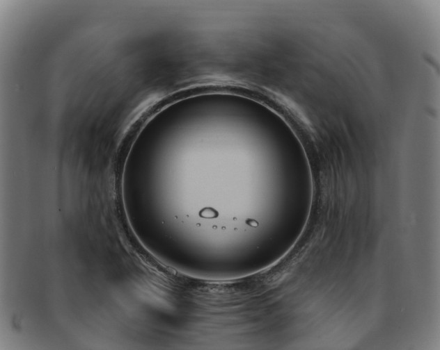 X0000091731318200708311152