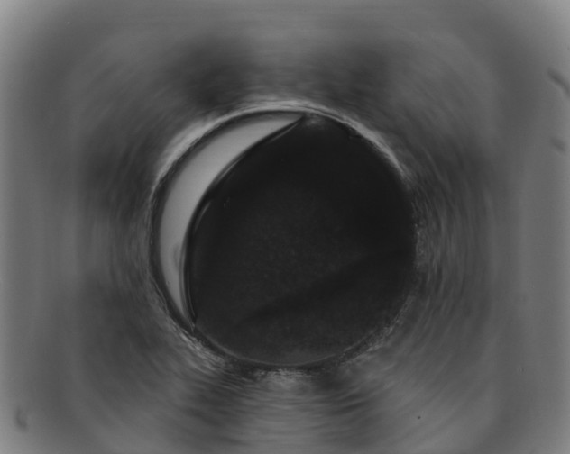X0000091731319200708311152