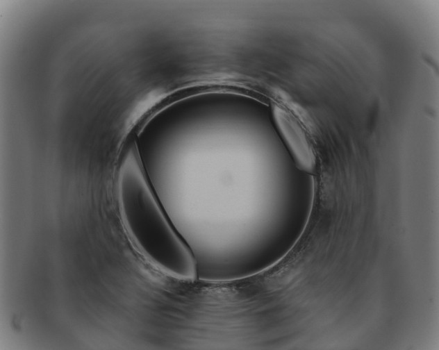 X0000091731320200708311152
