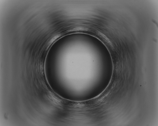 X0000091731321200708311152