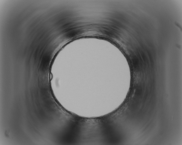 X0000091731322200708311152