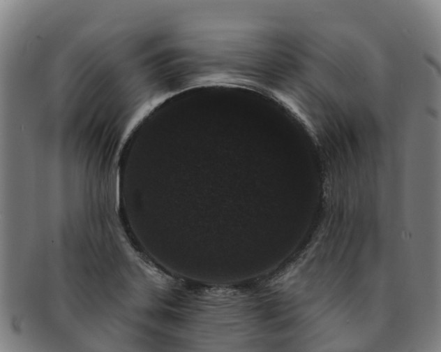 X0000091731323200708311152